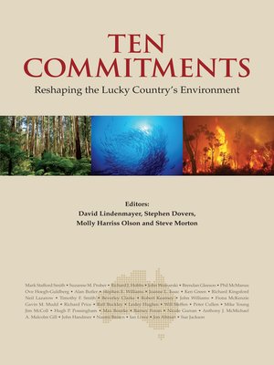 cover image of Ten Commitments